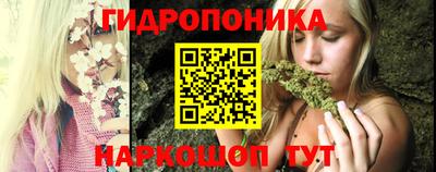 крисы Лесосибирск