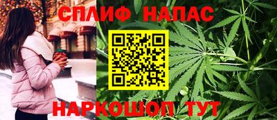 крисы Лесосибирск