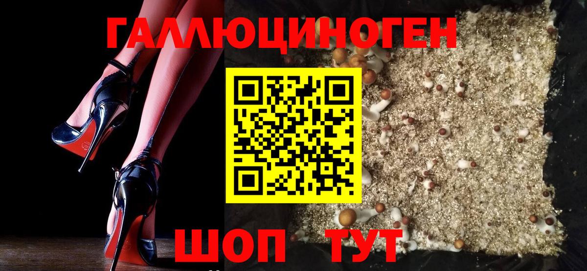Псилоцибиновые грибы Psilocybine cubensis  Галлюциногенные грибы Psilocybine cubensis  Вход с VPN  Карачаевск 