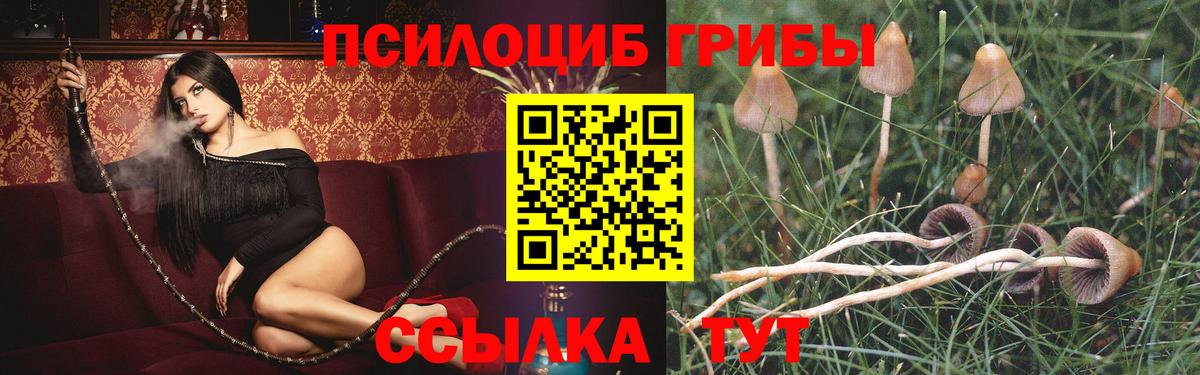Галлюциногенные грибы мицелий Карачаевск